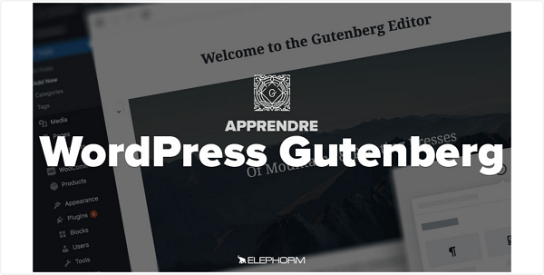 WordPress - Personnaliser son site avec Gutenberg et Twenty Nineteen