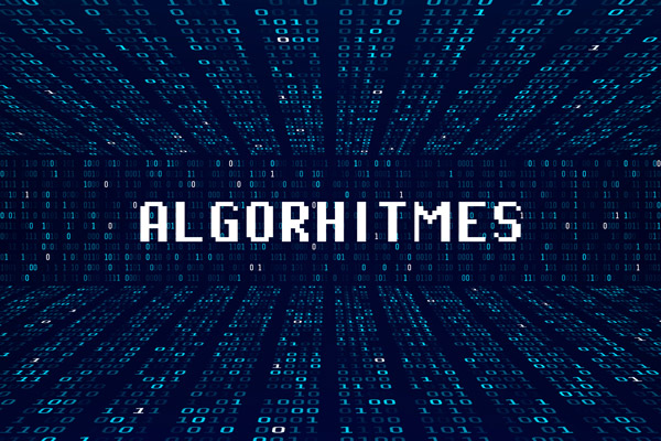 Formation sur les algorithmiques dans un contexte de data science